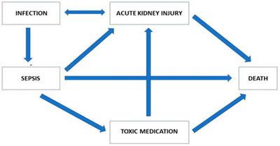Explainability in medicine in an era of AI-based clinical decision support systems